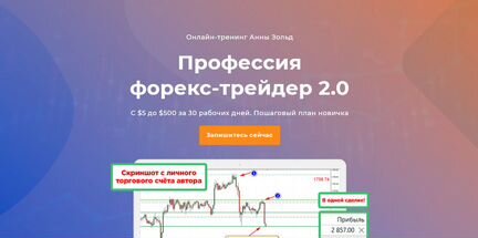 Анна Зольд - Профессия форекс-трейдер 2.0 (2020)