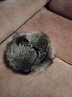 Мужская шапка