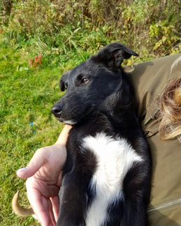 Девочка, 5 месяцев, доставка