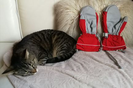 Варежки Trespass для горных лыж и сноуборда