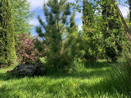 Маскировочный костюм